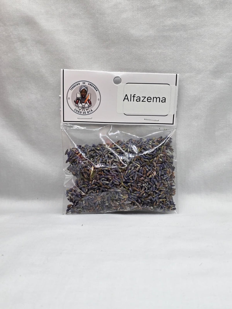 Erva - Alfazema