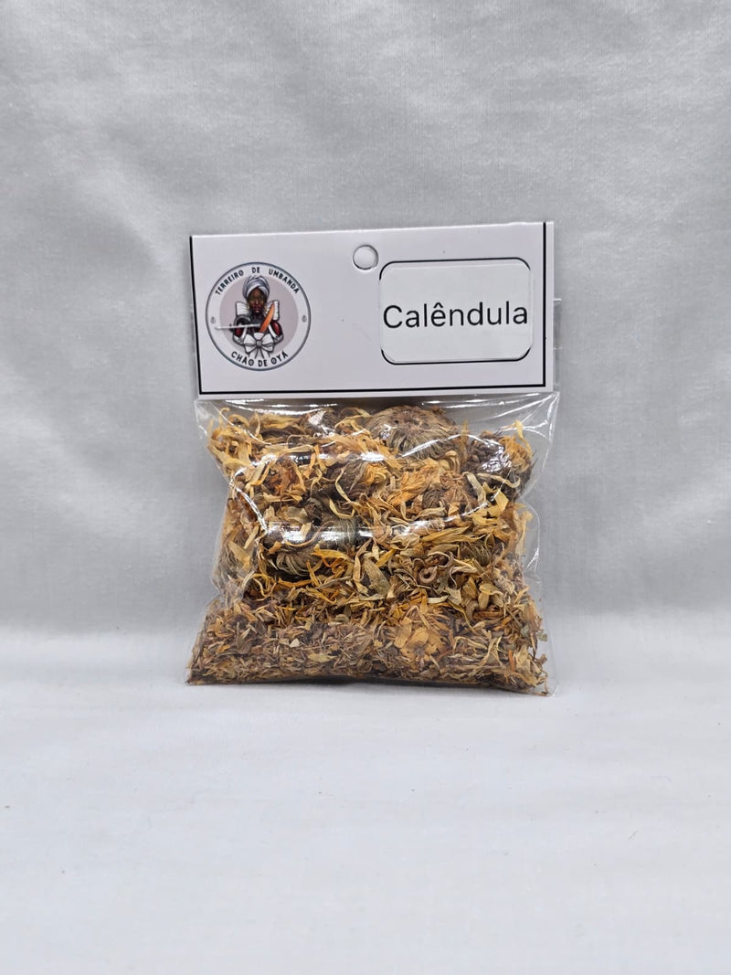 Erva - Calendula
