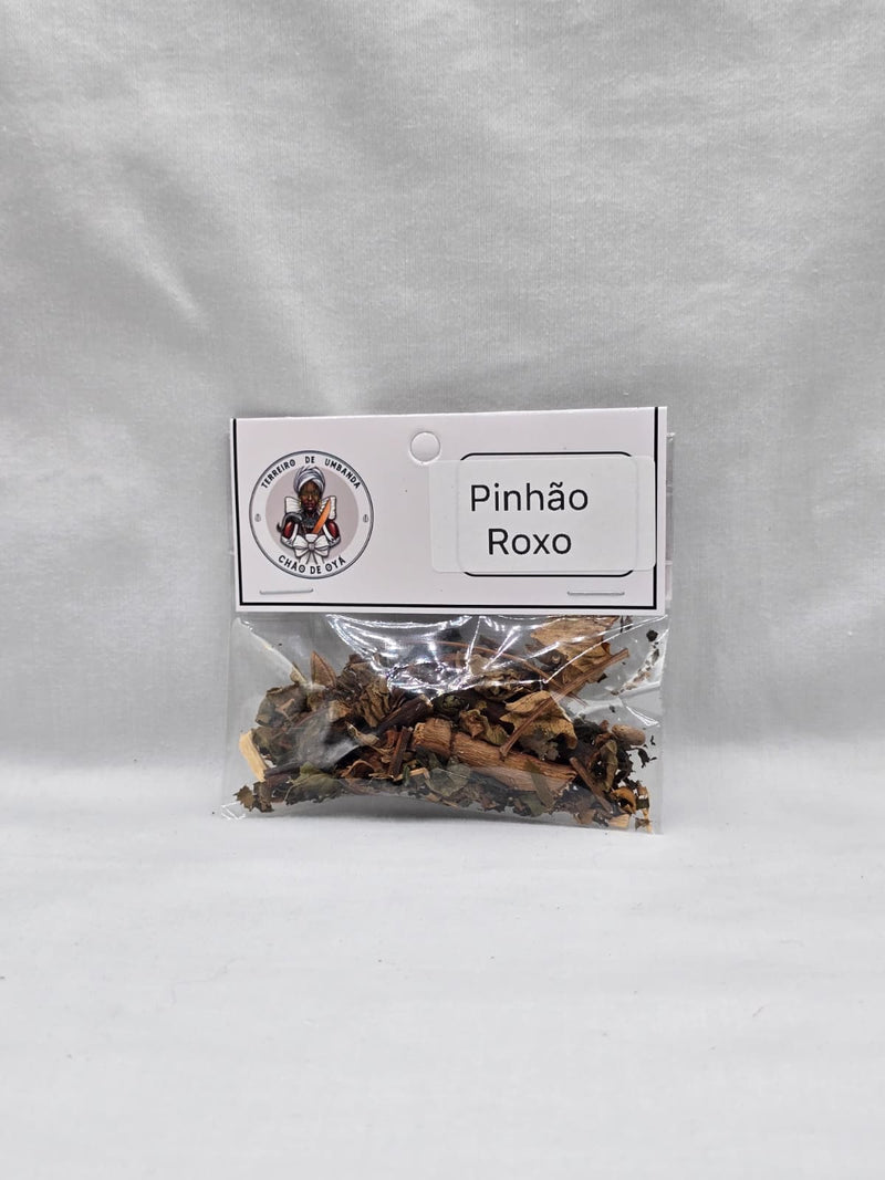 Erva - Pinhao Roxo