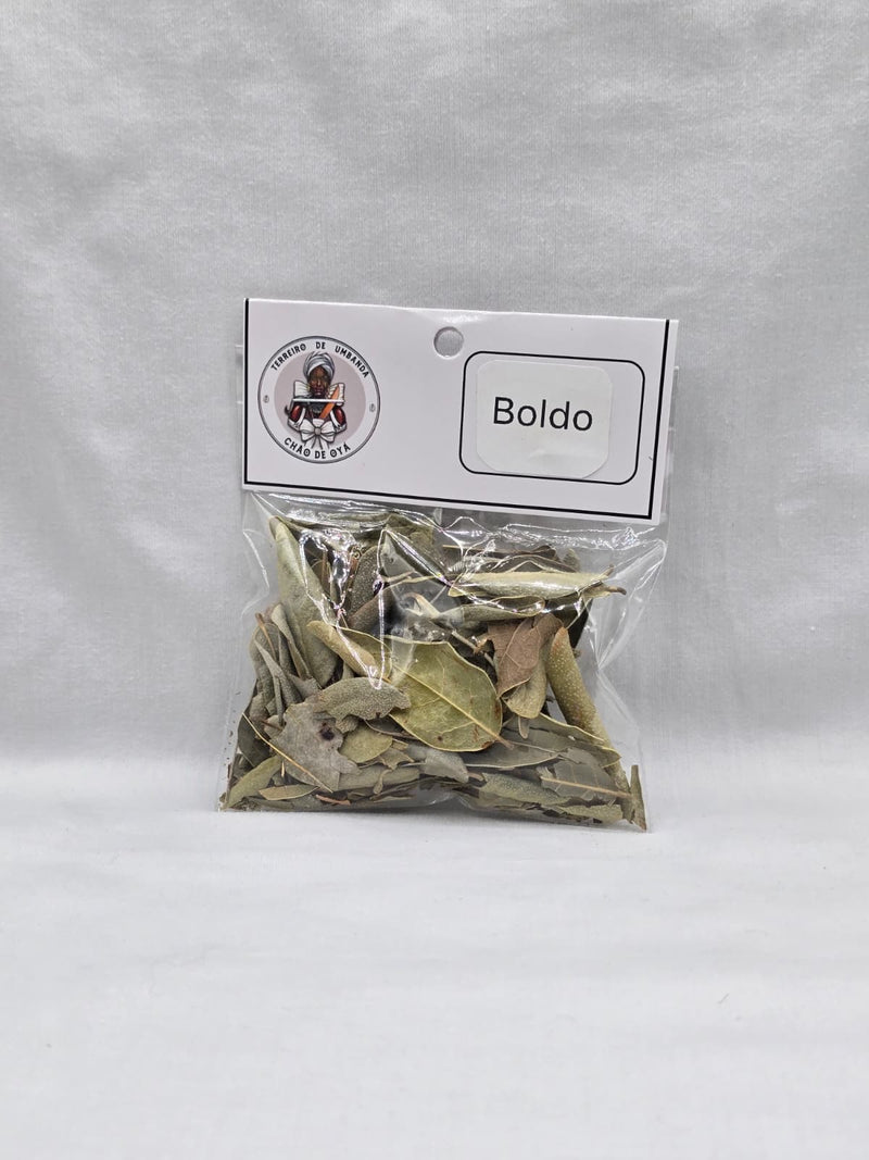 Erva - Boldo