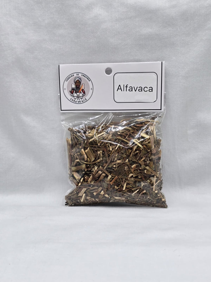 Erva - Alfavaca