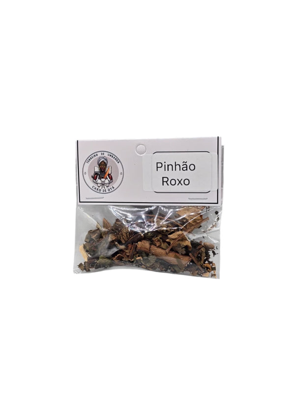 Erva - Pinhao Roxo