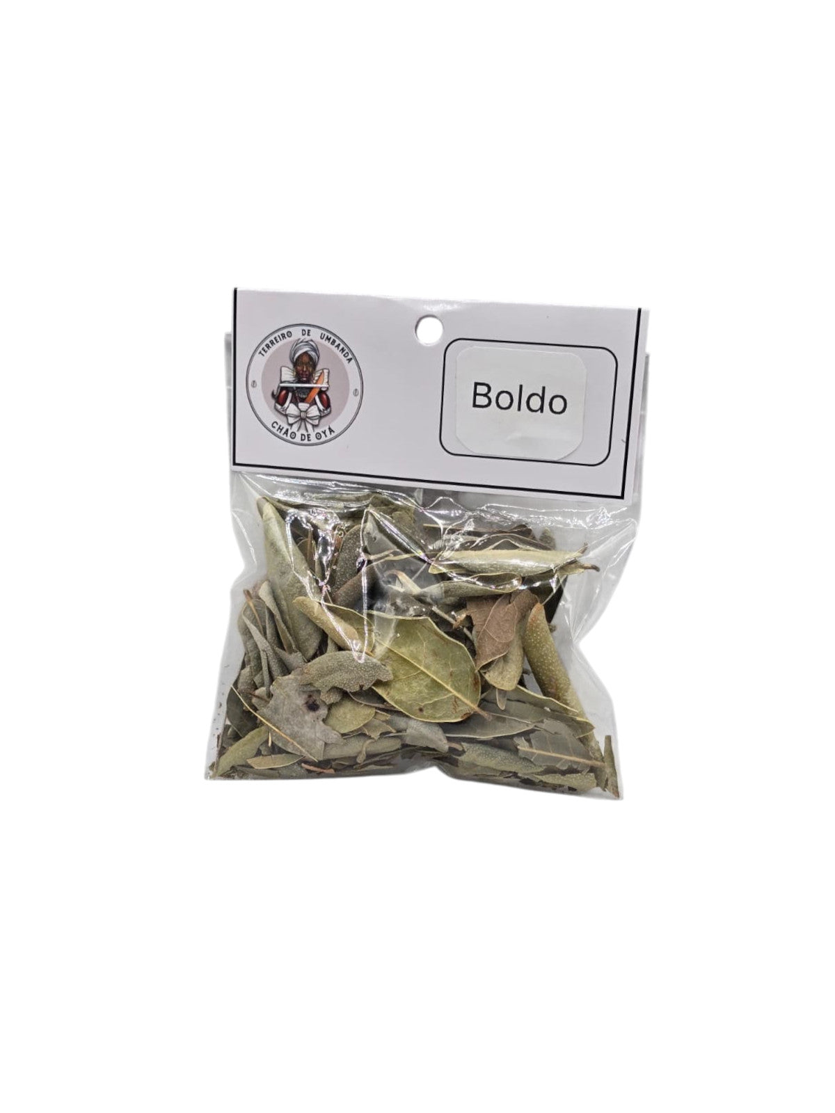 Erva - Boldo