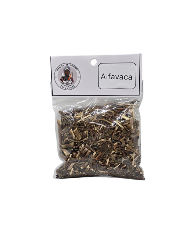 Erva - Alfavaca
