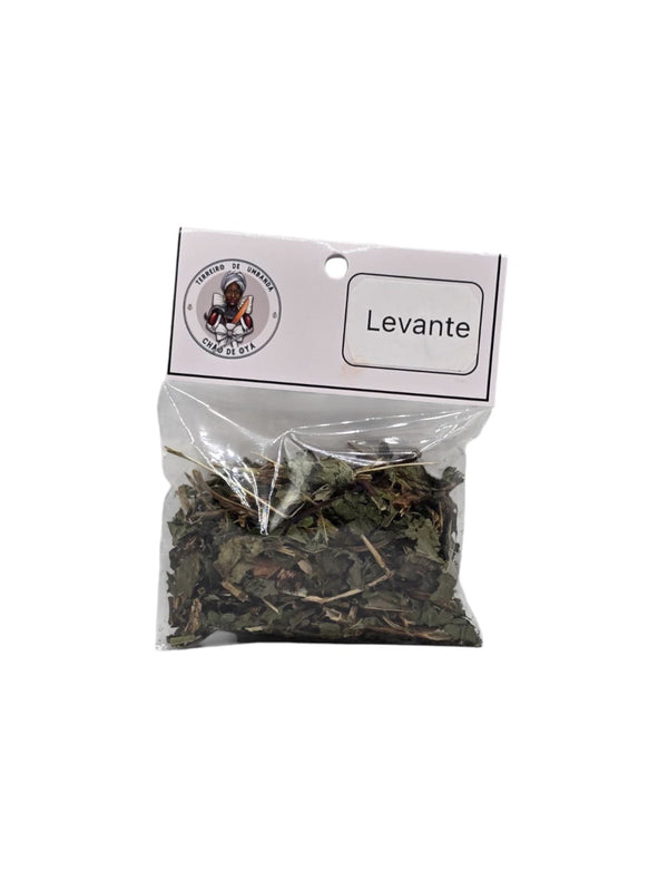 Erva - Levante
